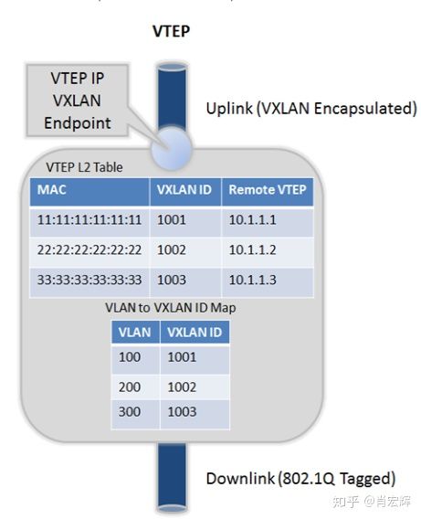 vxlan-vtep