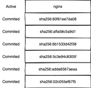 snapshots_of_nginx